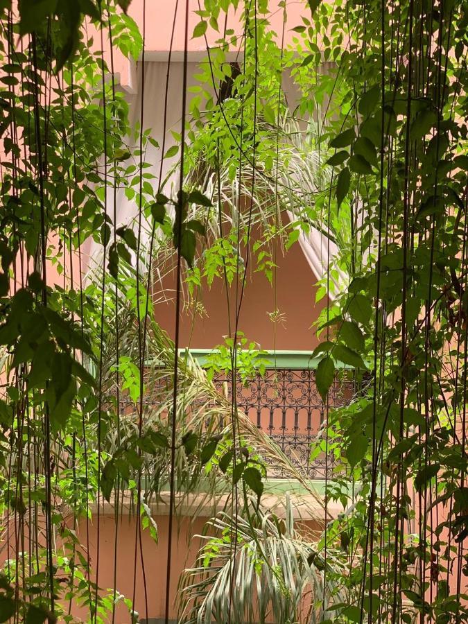 Bed & Breakfast The Bohemian Jungle *
