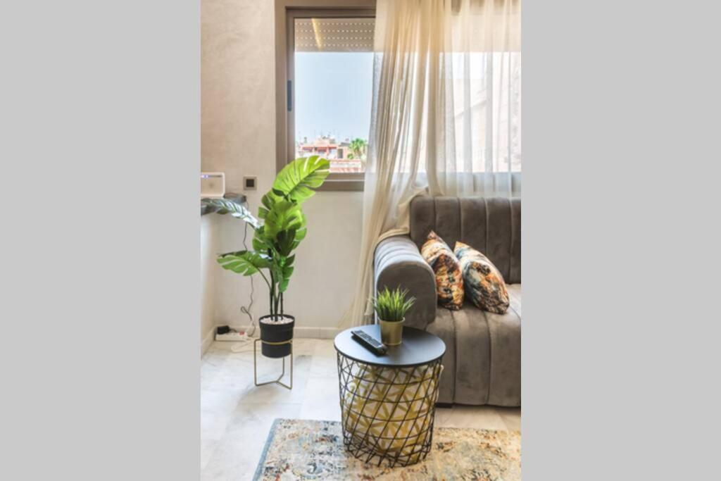 Appartement Luxury In The Heart Of Marrakech Gueliz Marrakesh