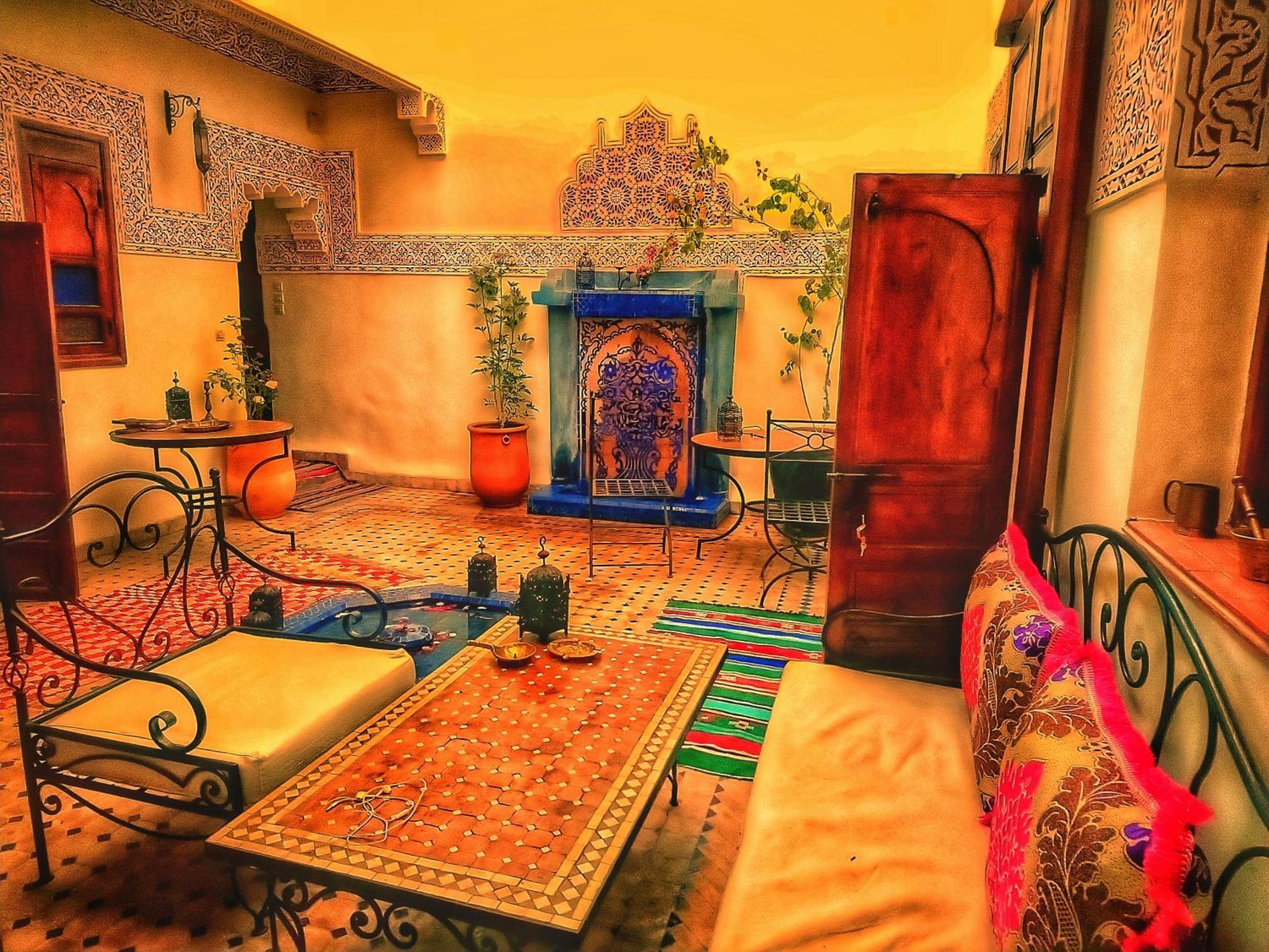 Paloma * Marrakesh
