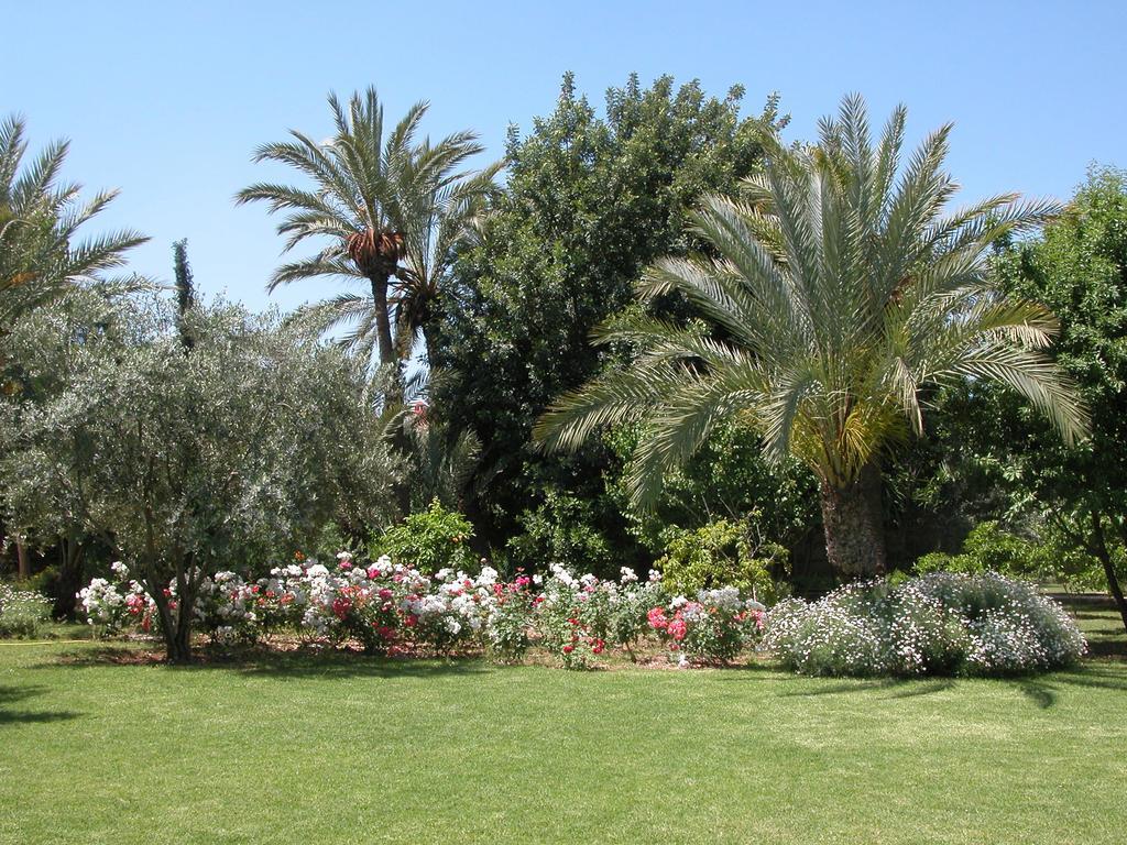 Guest house Dar Zemora