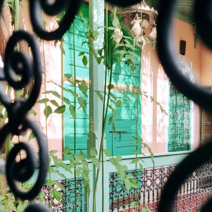 The Bohemian Jungle *