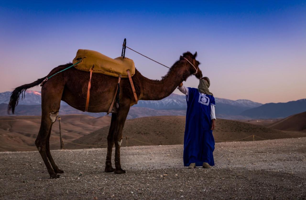 Luxury tent Camp Cameleon Marrakesh