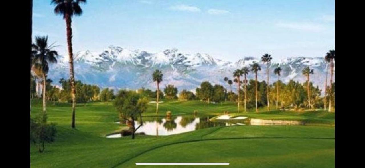 Prestigia Golf Afaf David