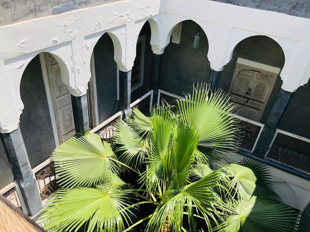 Palm * Marrakesh