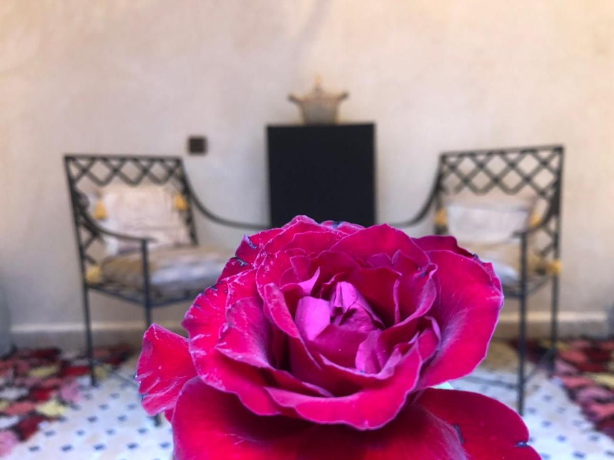 Riad Dar Eljazouli Marrakech Marrakesh