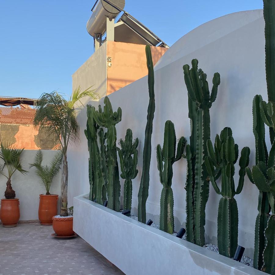 Oasissime * Marrakesh