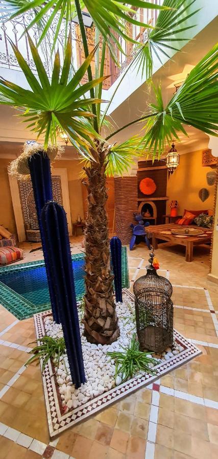 Riad Dar-Cactus-Bleu, Un Ecrin Dans La Medina *