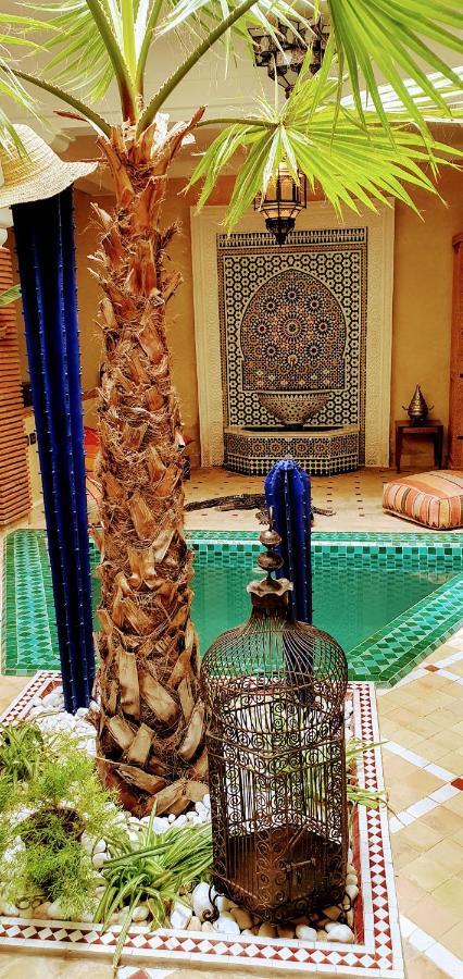 Riad Dar-Cactus-Bleu, Un Ecrin Dans La Medina Holiday home