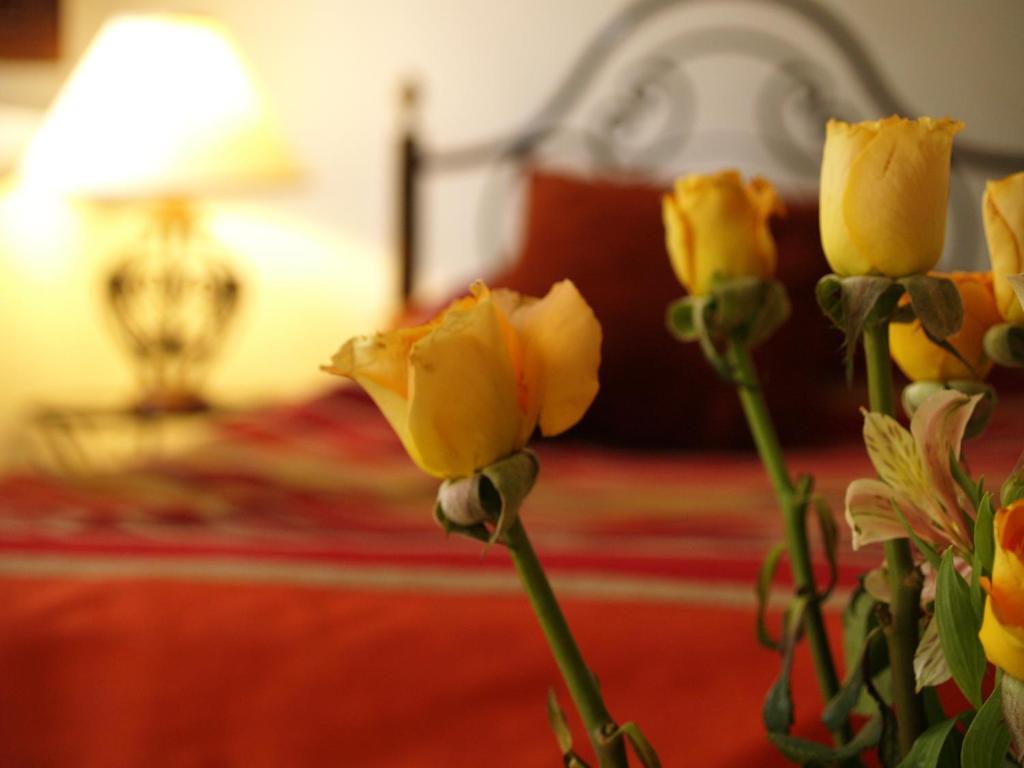 Karim Riad 3*