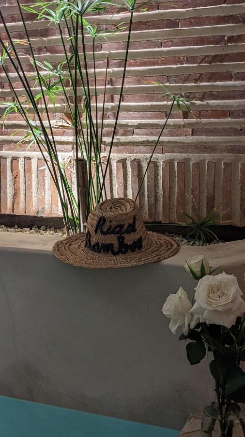 Bamboo & Riad