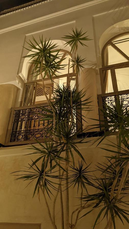 Bamboo &