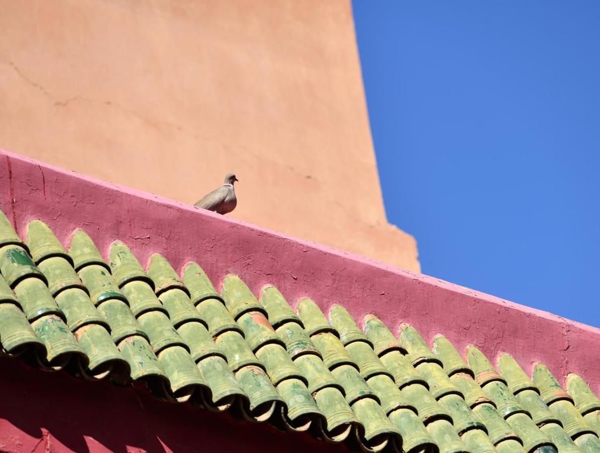 L'aziza Riad 3*