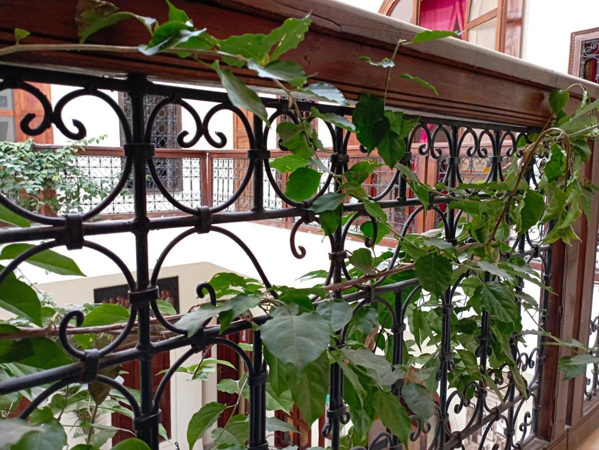 White Flowers Guest house *