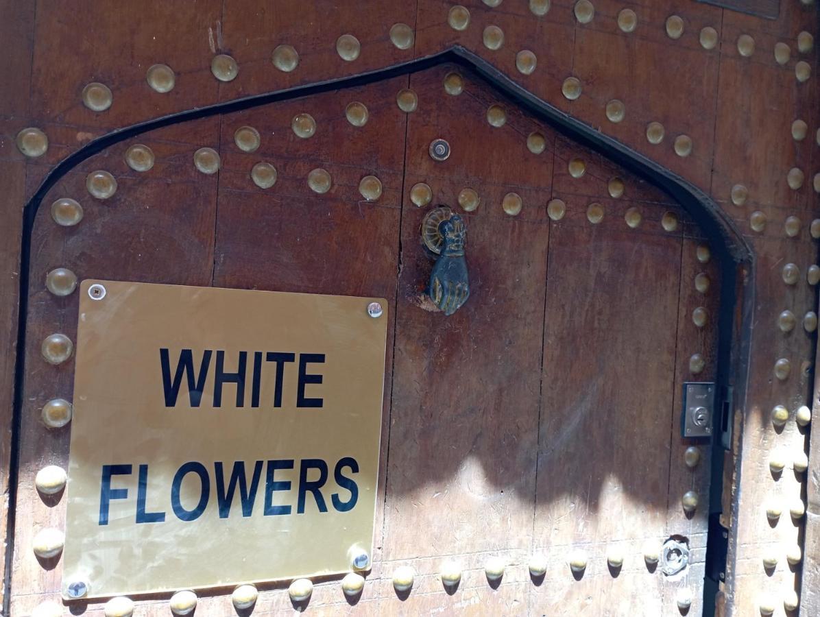 White Flowers *