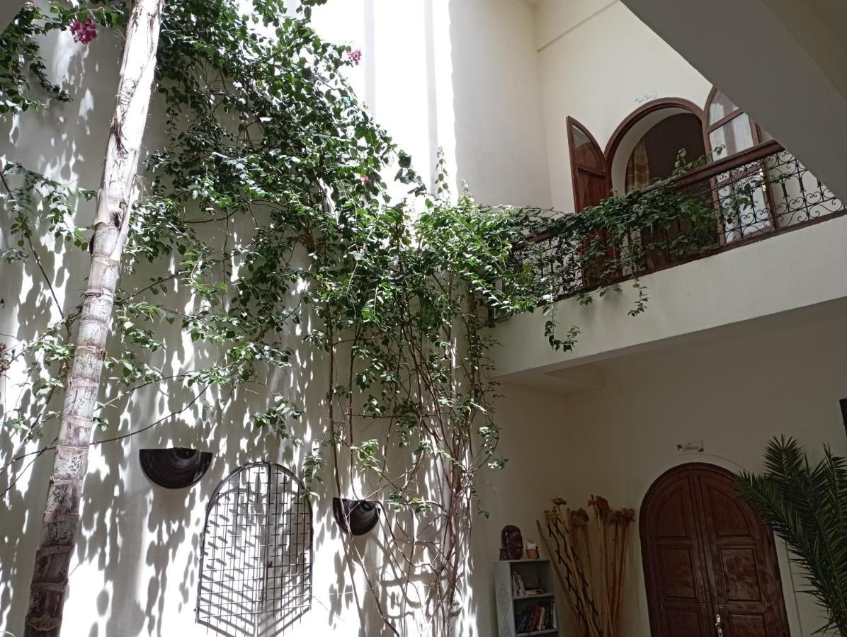 White Flowers * Marrakesh