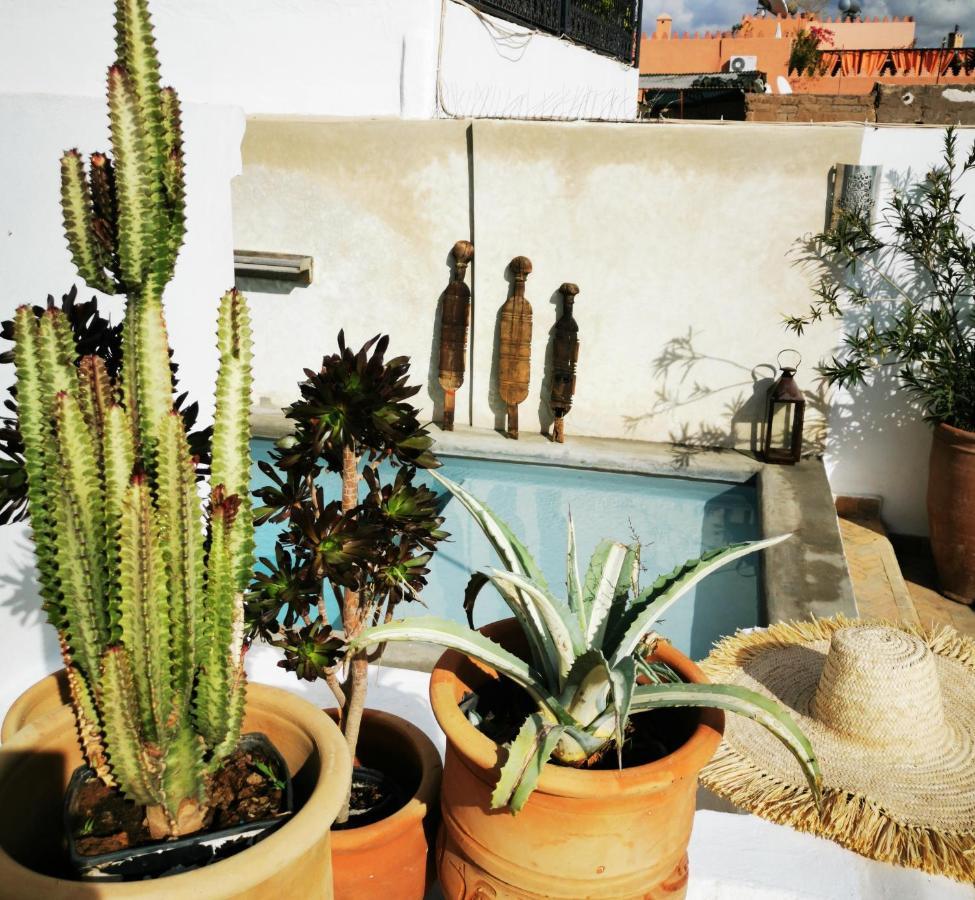 Bab Aylen - Piscine Roof Chauffée Marrakesh