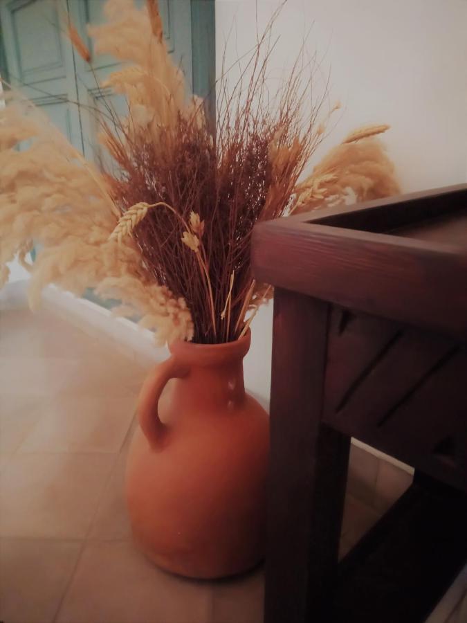 Sahara Nour Riad