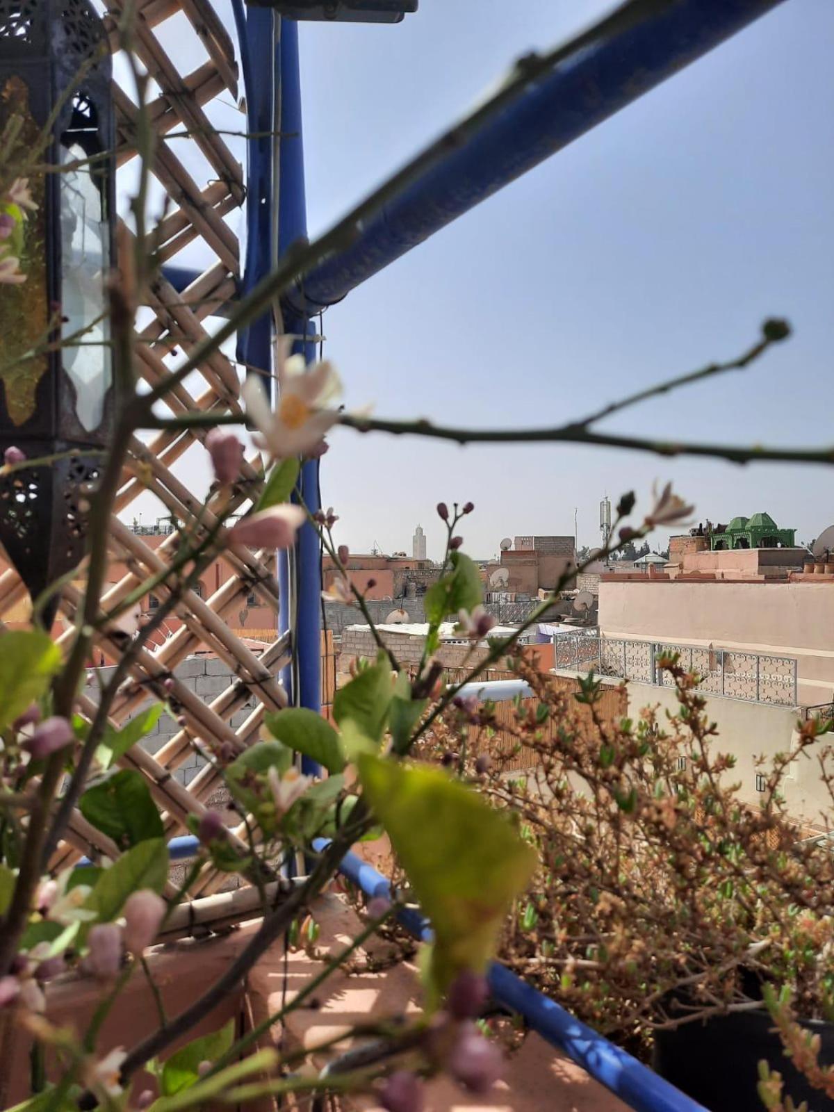 Séjour chez l'habitant Dar Khalid Marrakesh