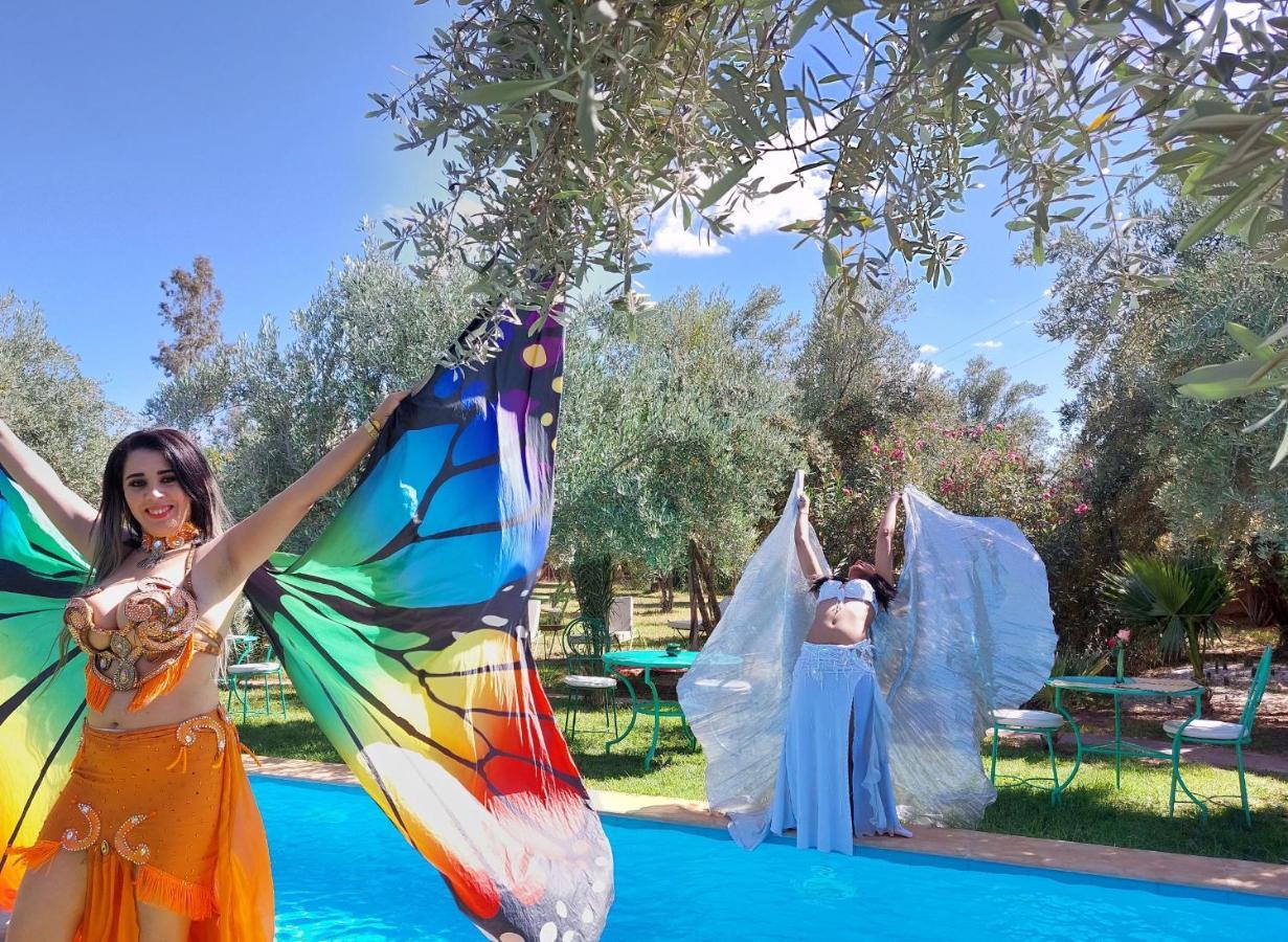 Manzal Lahbab * Marrakesh