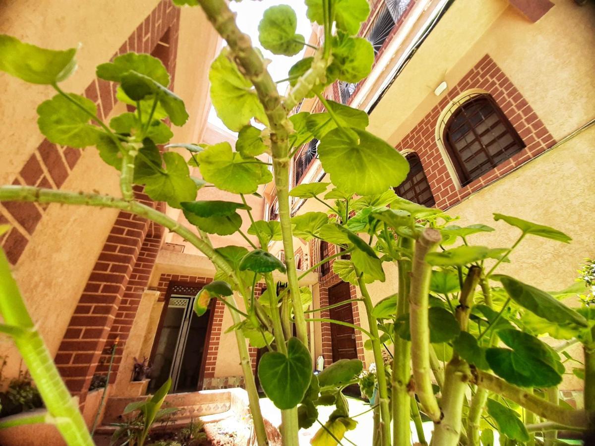 Touristique Koutoubienne * Marrakesh