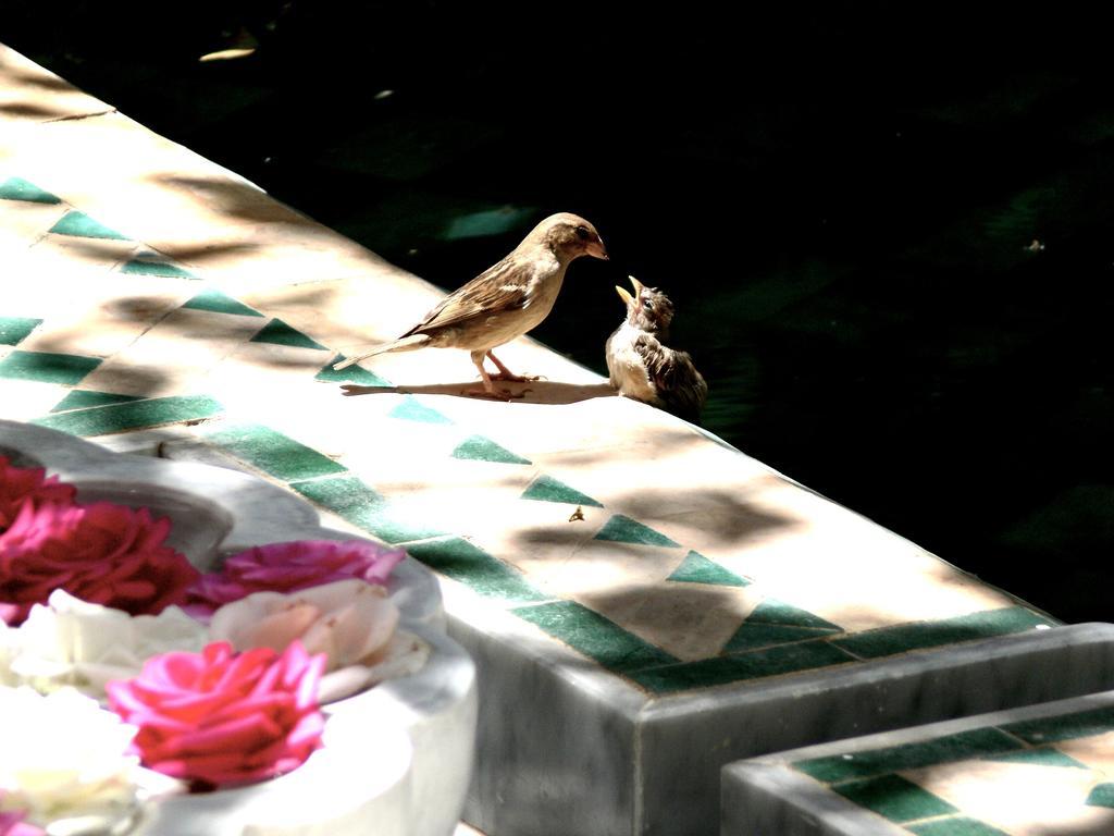 Bed & Breakfast El Mezouar 4*