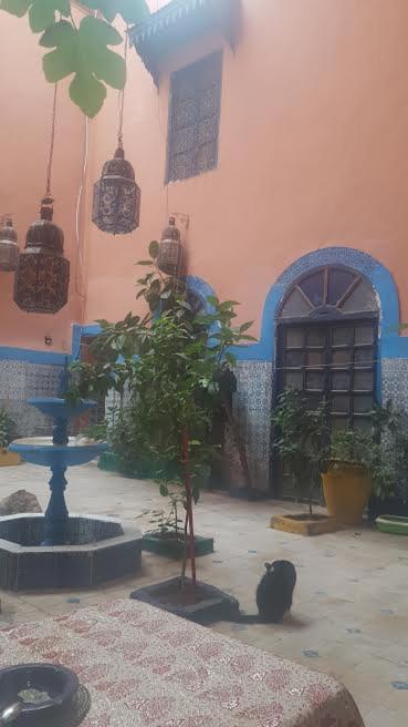 Dar Kader Saumon *