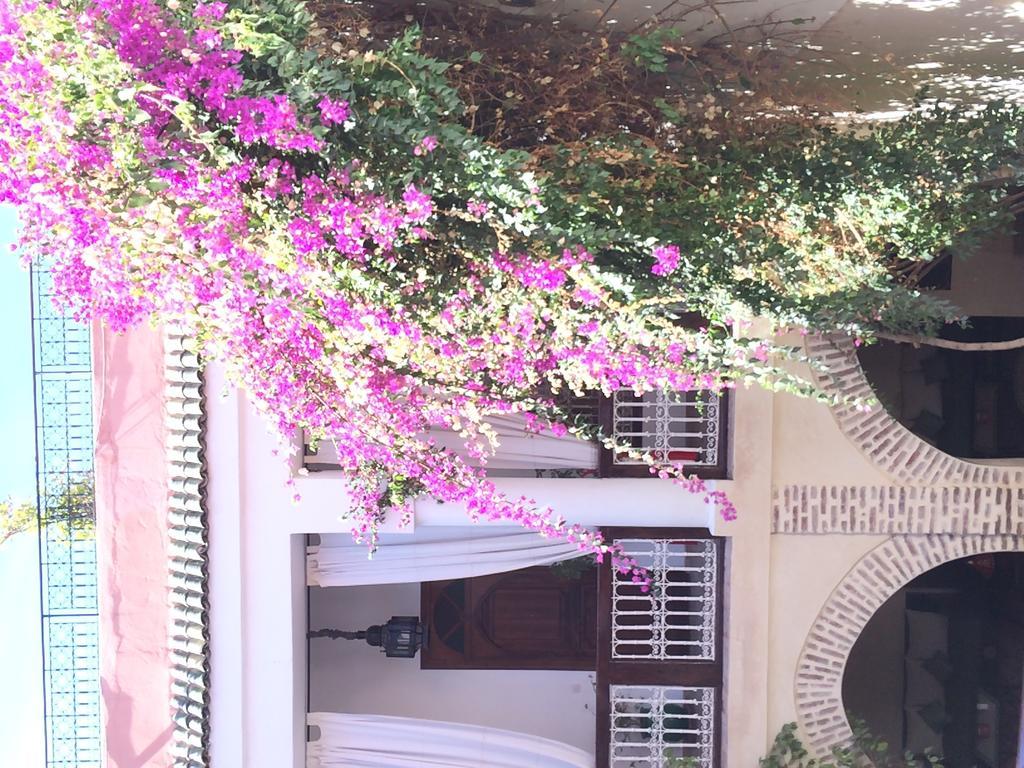 Riad Dar Palmyra