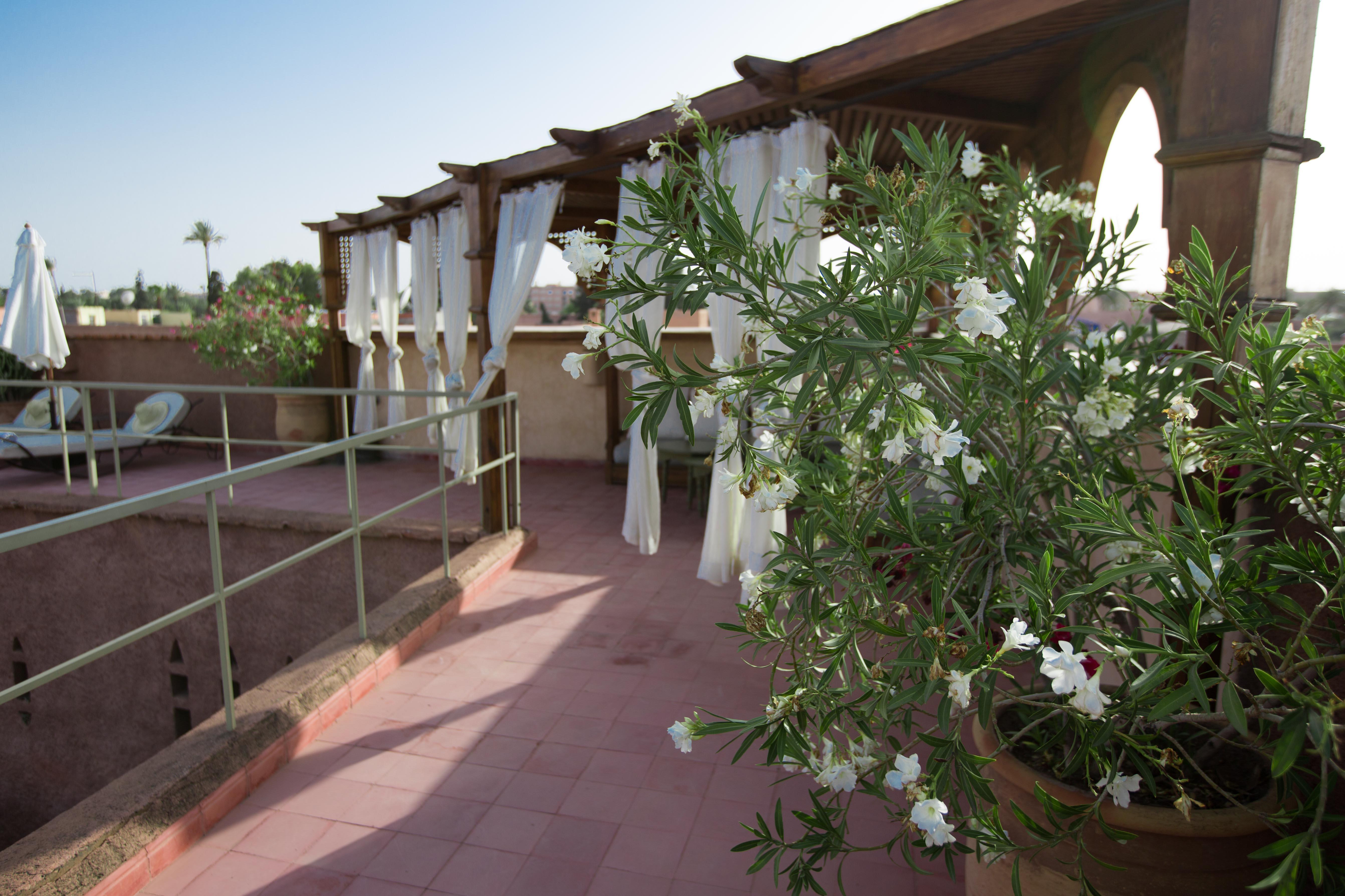 Riad Riad Altair