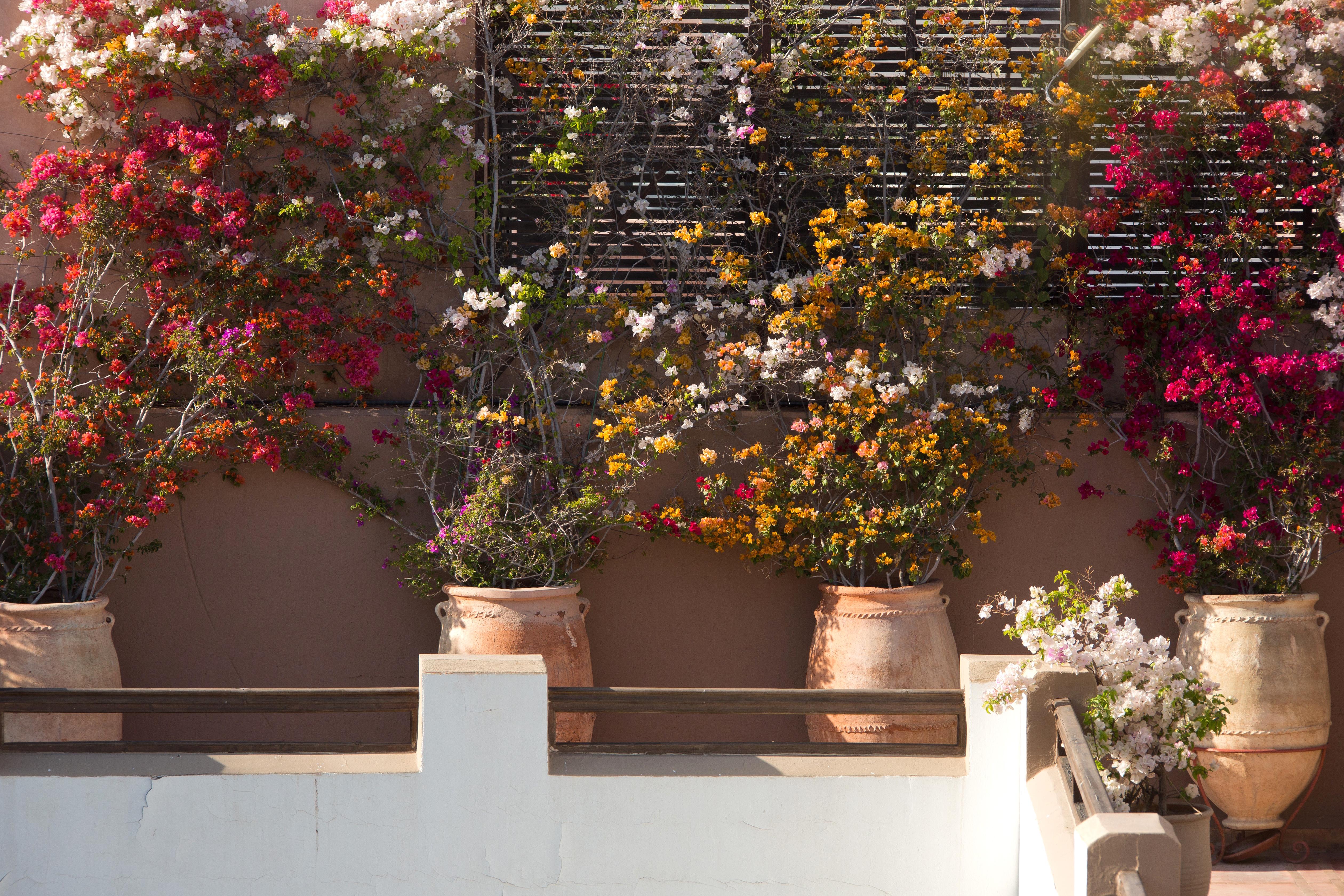 Hotel Les Jardins De La Medina