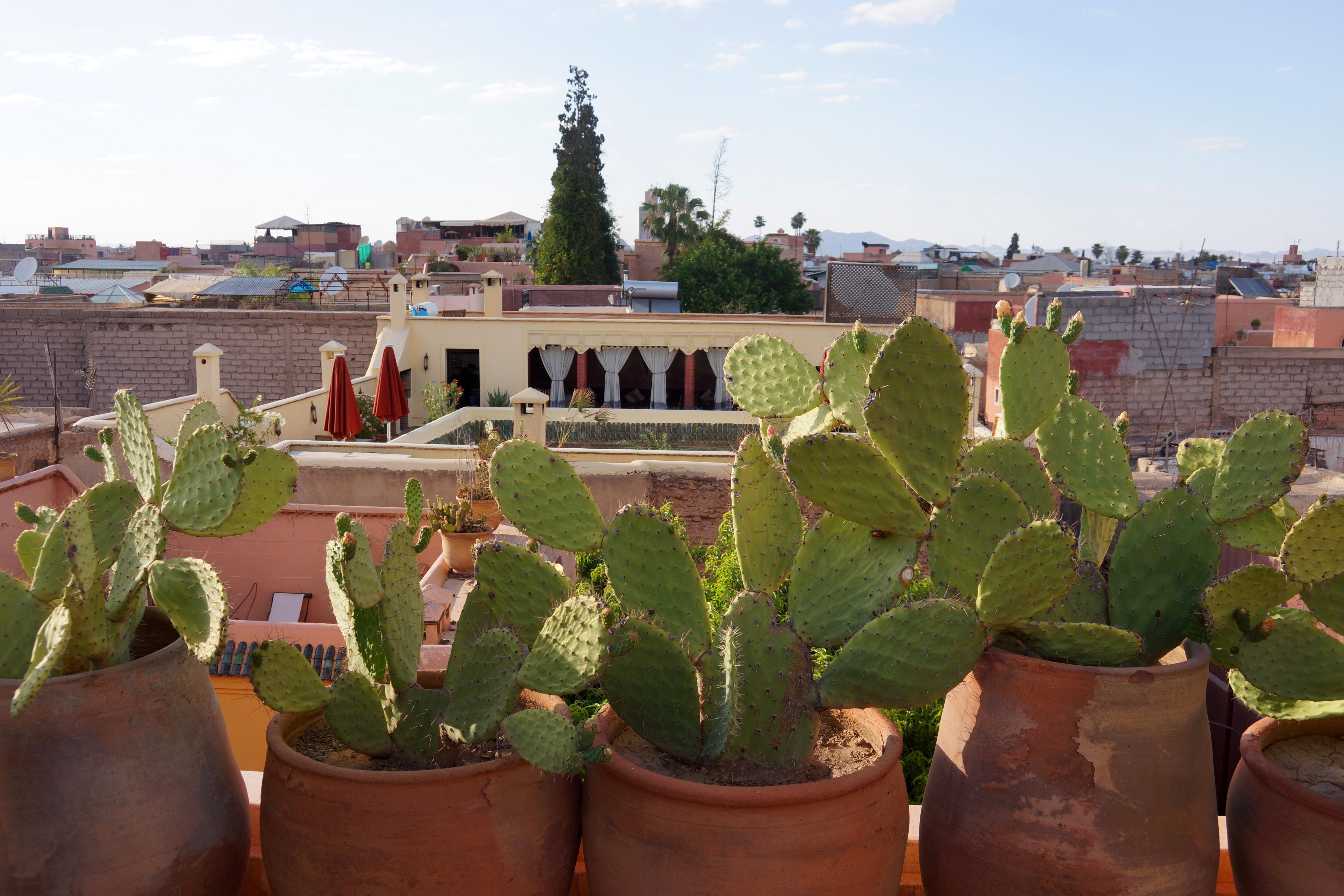 Marrakiss Riad Marrakesh