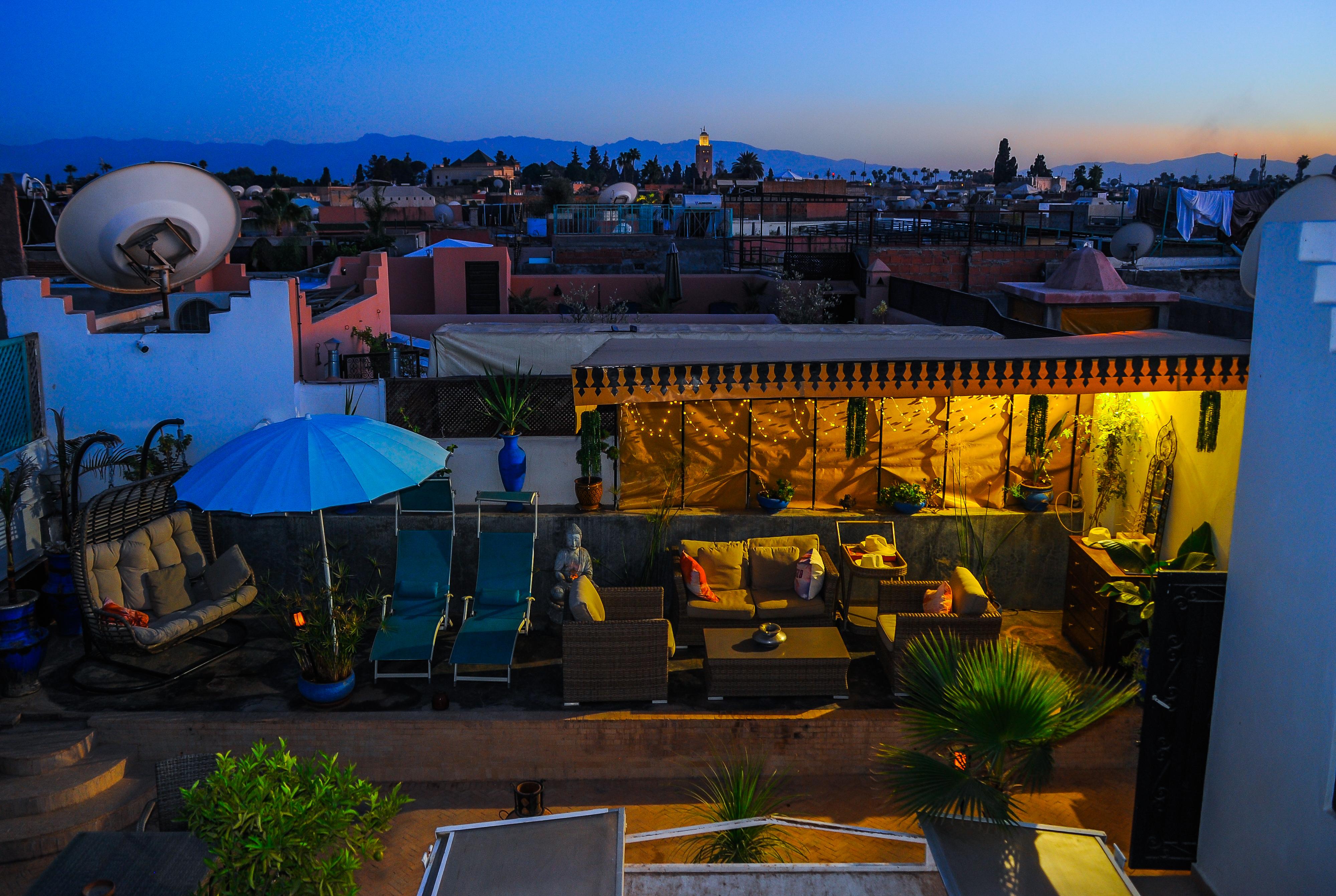L'orchidee & Marrakesh