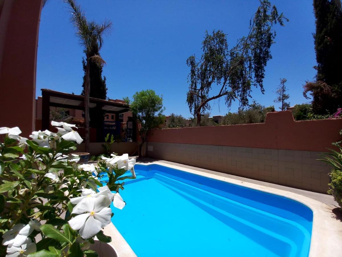 Cycas Targa Garden -only Family Marrakesh