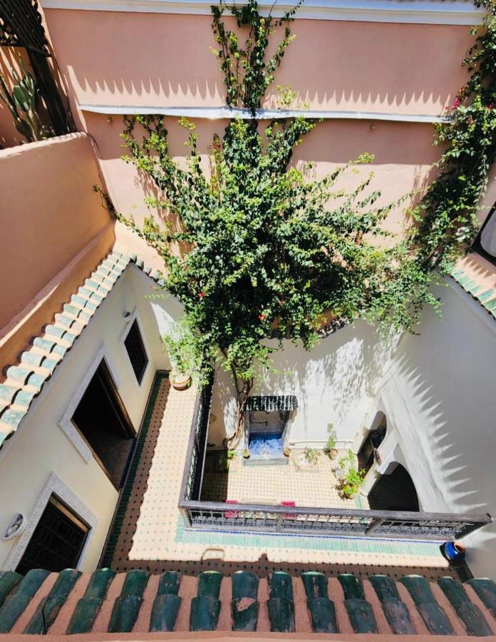 Riad Msholidays Bassin Privatise Marrakech Marrakesh