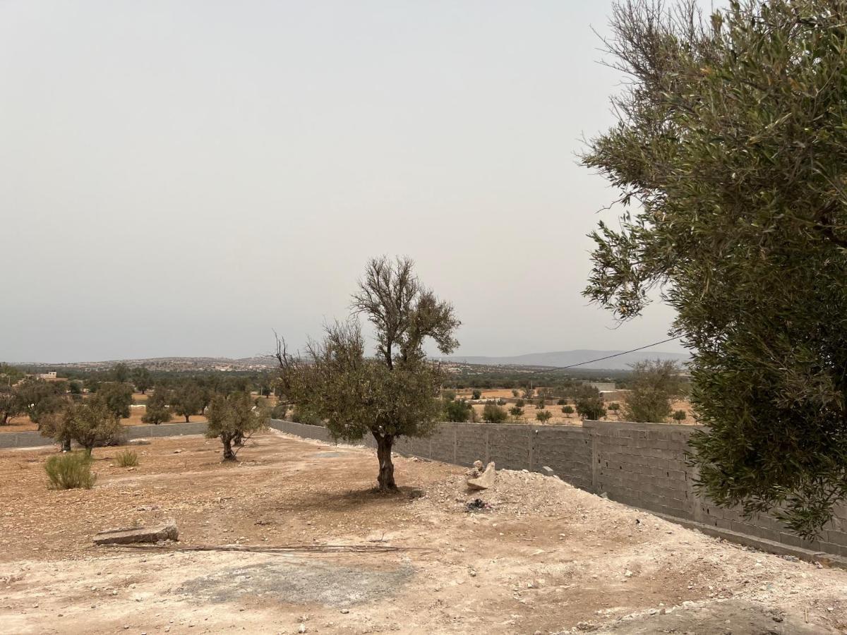 A Vendre Avec Terrain De Surface 17000 M Villa