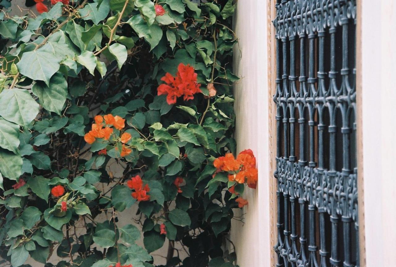La Porte Bleue, En Exclusivité Pour 4 Personnes Riad