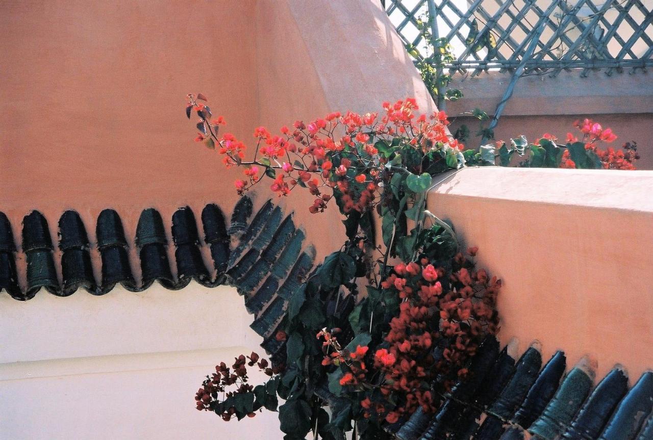 Riad La Porte Bleue, En Exclusivité Pour 4 Personnes