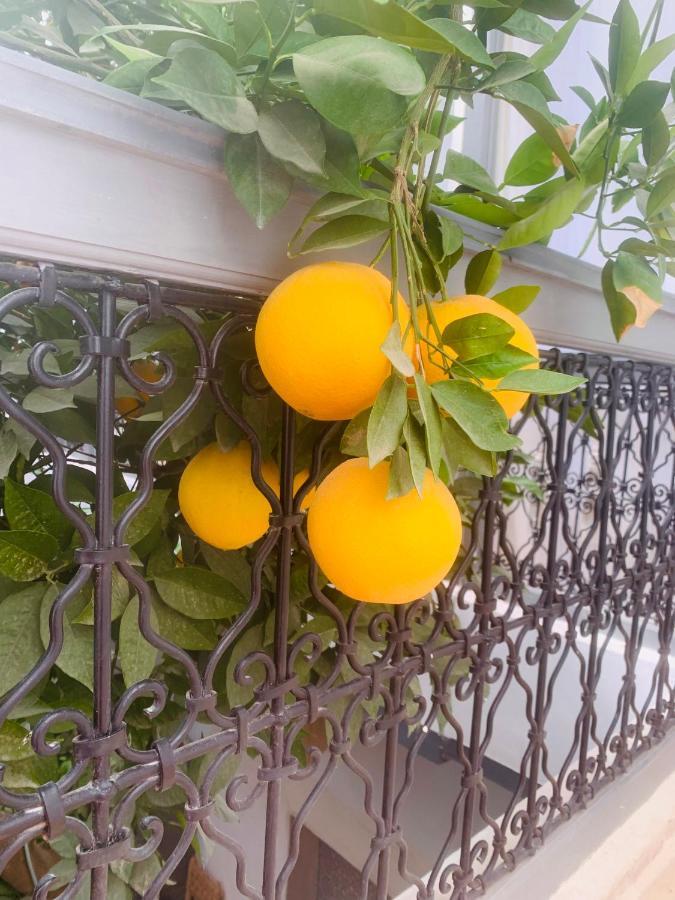 Magie Boutique Riad