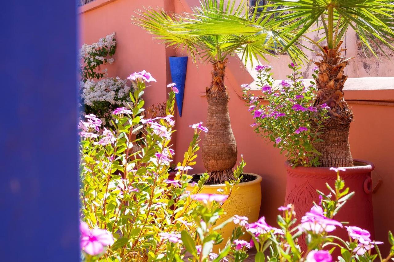 Kamal Medina Riad Marrakesh