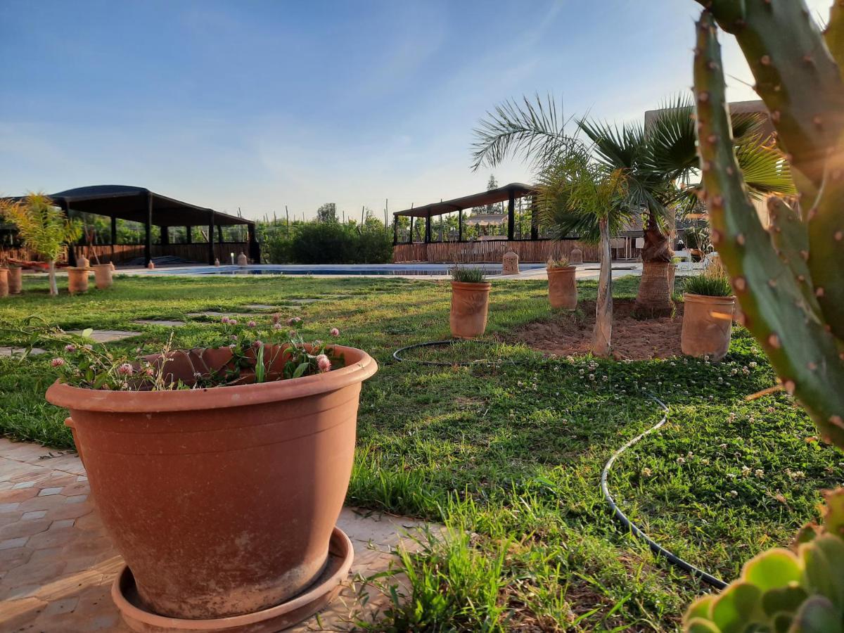 Rosa Damascena Marrakech Villa