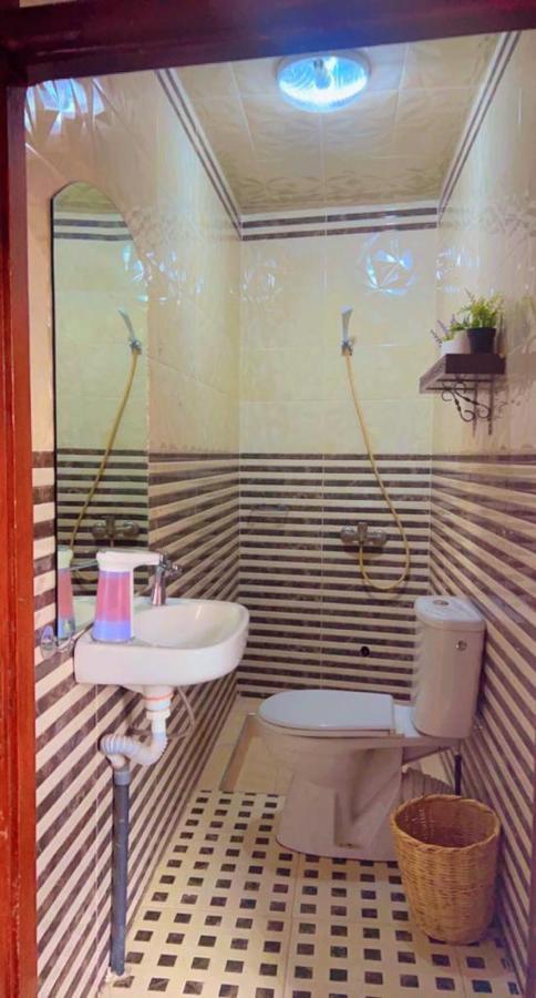 Auberge de jeunesse Peace (adults Only)