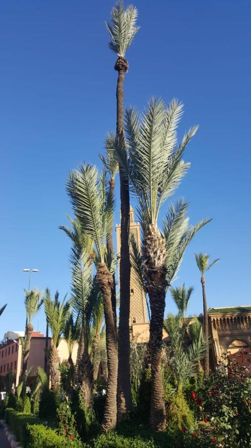 Hébergement de vacances Duplex El Madina