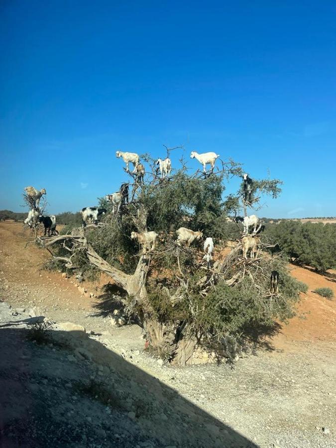 Dar Karam *