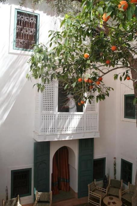 Dar Zitouna - Entire House In Exclusivity Holiday home