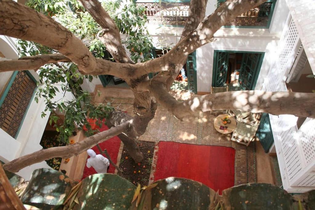 Dar Zitouna - Entire House In Exclusivity Holiday home