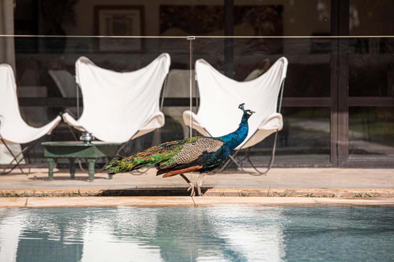 Mayaz - Piscine Chauffee Villa