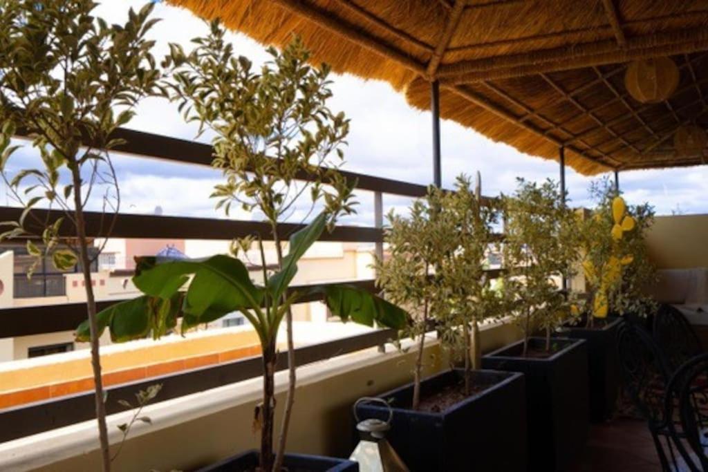 La Losa Marrakech