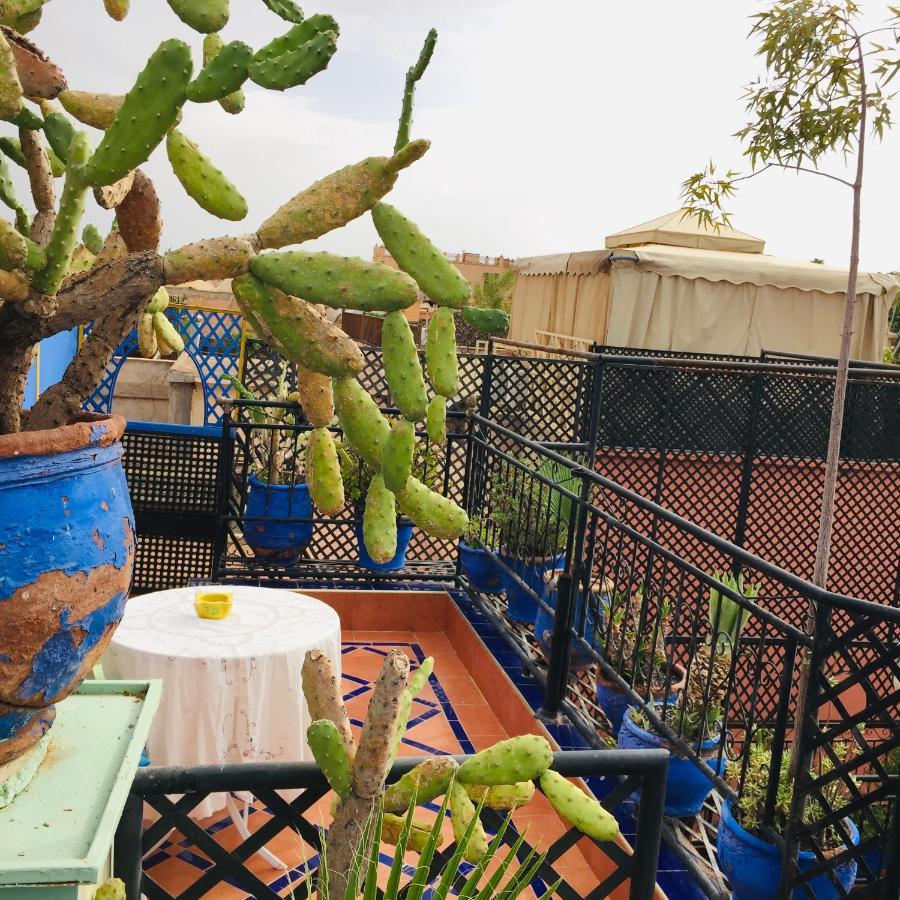 Almarkab Apartment