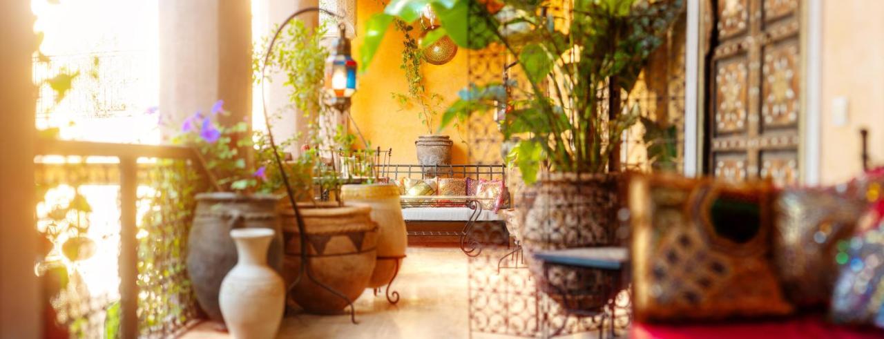 Roxanne 3* Marrakesh