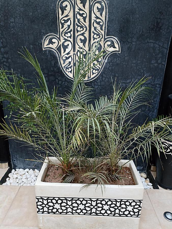 Excellence Riad Marrakesh