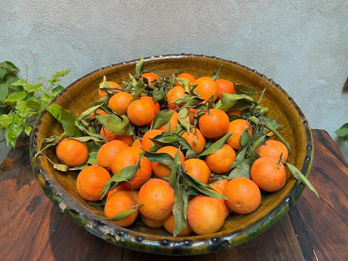 Alena Marrakesh